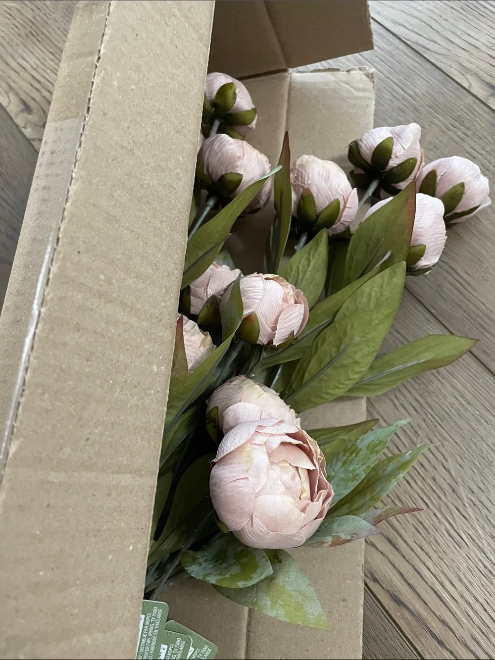 (8) Tan Peony Stems by Ashland‎ NEW